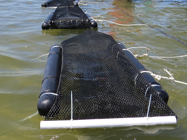 Flotador-Oyster-Mesh