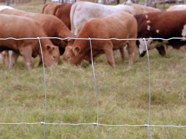 Valla de campo con articulación de bisagra