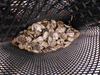 Bolsa de malla de ostras